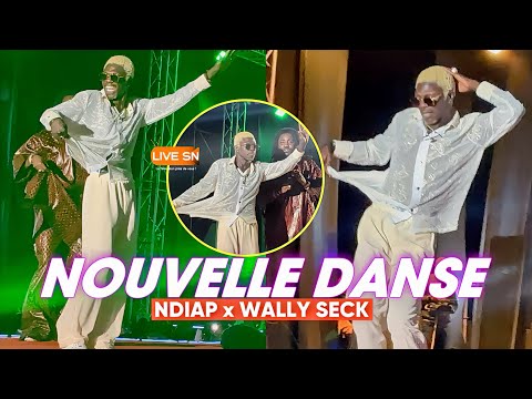 LA NOUVELLE DANSE DE NDIAP / CONCERT CICES DE WALLY SECK #livesn #wallyseck