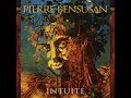 Pierre Bensusan - Intuite (Full Album, 2001)