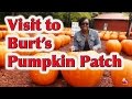 Field Trip To The Pumpkin Patch LittleStoryBug