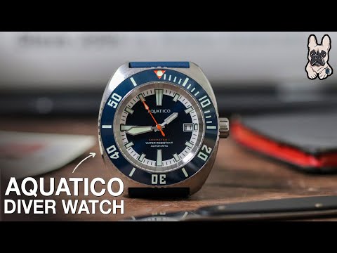 HOW Does It Have 500M of Water Resistance? Aquatico Diver Watch Review