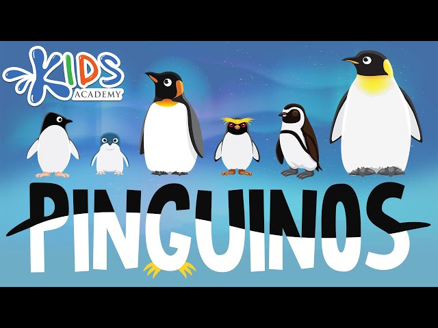 Vídeo relacionado con Pinguinos Del Mundo Libro Animado Para Ninos: Gran manera para que los niños conozcan a los pingüinos en el mundo