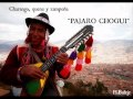 PAJARO CHOGUI ( CHARANGO, QUENA Y ZAMPOÑA )