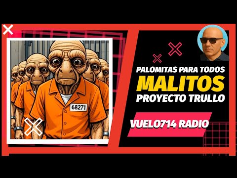 MALITOS🎱PROYECTO TRULLO 🦹‍♂️