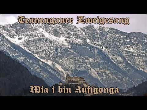 Tennengauer Zweigesang - Wia i bin Aufigonga