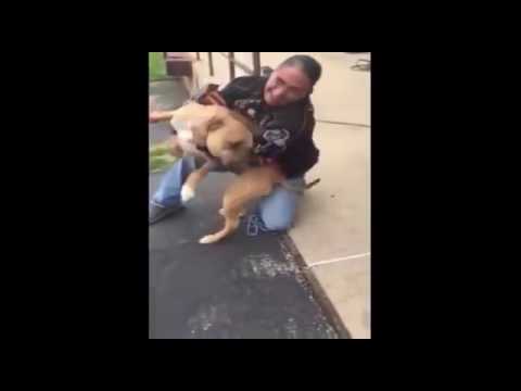 Мужчина находит свою украденную собаку через два года. Пес на небе от счастья