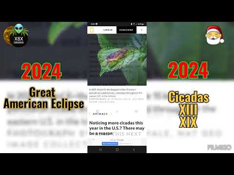 2024 Great X Eclipse Double Cicada Swarms