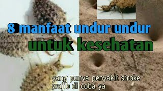 Download lagu 8 health benefits of watercress mp3