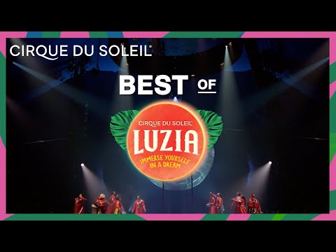 The Best of LUZIA | Cirque du Soleil
