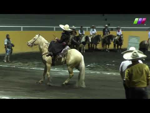 DLM278 080220 Bloque 2 - 1 VI Torneo de Puntas Largas -AVC- Ximena Vega y David Guerrero