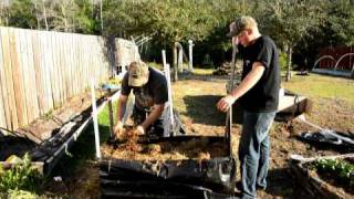 Growing Potatoes in Raised Beds.