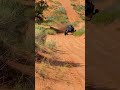 Where's Your Favorite Place To Go Riding? | Polaris RZR Turbo S with MTS Off-Road Suspension
