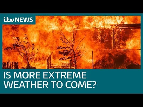 Why this summer's extreme weather could become the norm - is climate change to blame? | ITV News