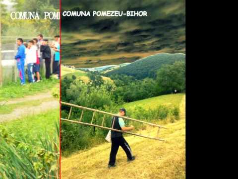 COMUNA POMEZEU BIHOR 2015  Foto Darius Valani
