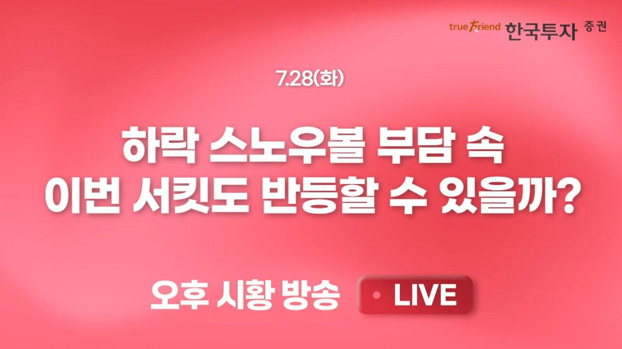 [0728 리서치톡톡] 시장 무차별 하락 폭격 벗어나지 못한 자동차 [끝장뉴스] AI, 반도체주 공포심리 극대화?