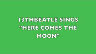 HERE COMES THE MOON-GEORGE HARRISON COVER