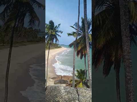 VOCÊ CONHECE? TESOURO DA COSTA DOURADA DE PERNAMBUCO #Barreiros #PortodeNassau #ushersuperbowl #2026