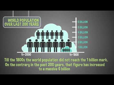 World population essay