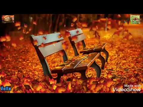 Volte - Débora e Leia