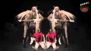 Bibi Tanga et Les Selenites "Be Africa" | Musiclip Festival 2011