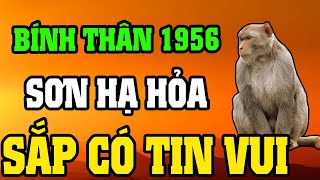 Tuổi Bính Thân 1956 Là Người Có Phúc Có Phần, Về Già Hưởng Lộc Tổ Tiên Nếu Biết Sớm 8 Điều Này