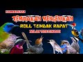 2 Jam Kombinasi TEMBAKAN MENGERIKAN Roll Tembak Rapat NILAI TERTINGGI ️