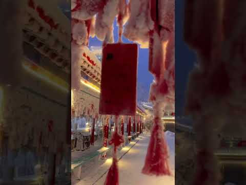 Lovely footage of nature #NATURE #BEAUTY  #animal p01316