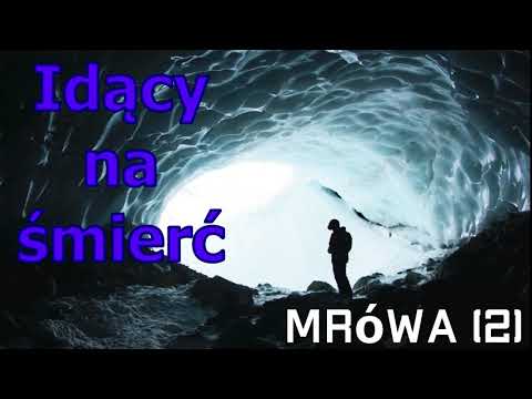 The One Who Walks to His Death - audiobook, fantasy - The Ant Cycle