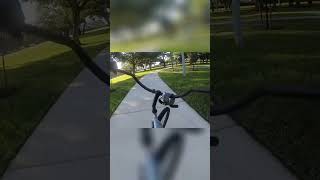 Auditing: Are You Doing Your Citizen Duty? 🤔 Public Servants Beware! #shorts