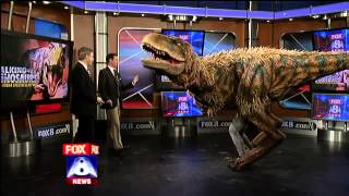Baby T-Rex Visits Morning Show