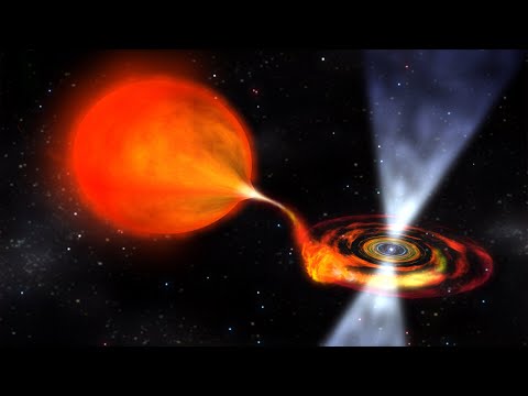 Meet Undead Stars Part 2