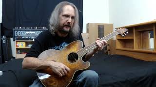 Video thumbnail for Retroactive Reviews: My 2005 Ibanez TCY20VV1203 Talman A/E by Dann The Unknown