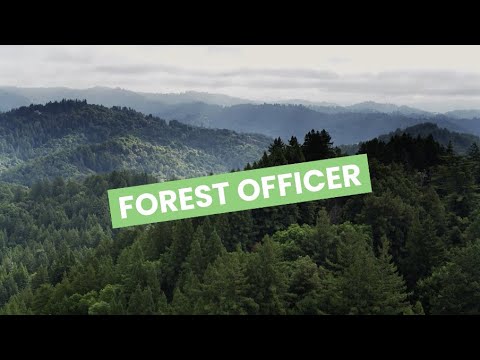 Forest officer video 1