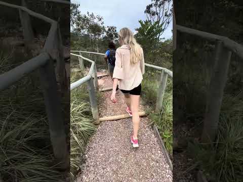 Caminho para cachoeira de Santa Bárbara em Cavalcante-GO!