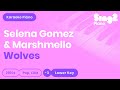 Selena Gomez, Marshmello - Wolves (Lower Key) Karaoke Piano