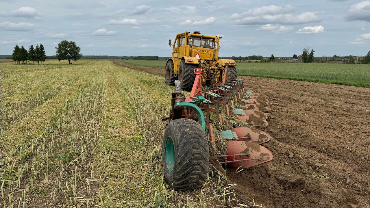 Kirowiec K700A nr 2 + Kvernelad BB 100 CZERWCOWA ORKA = LIKWIDACJA RZEPAKU! Rolnik Łukasz