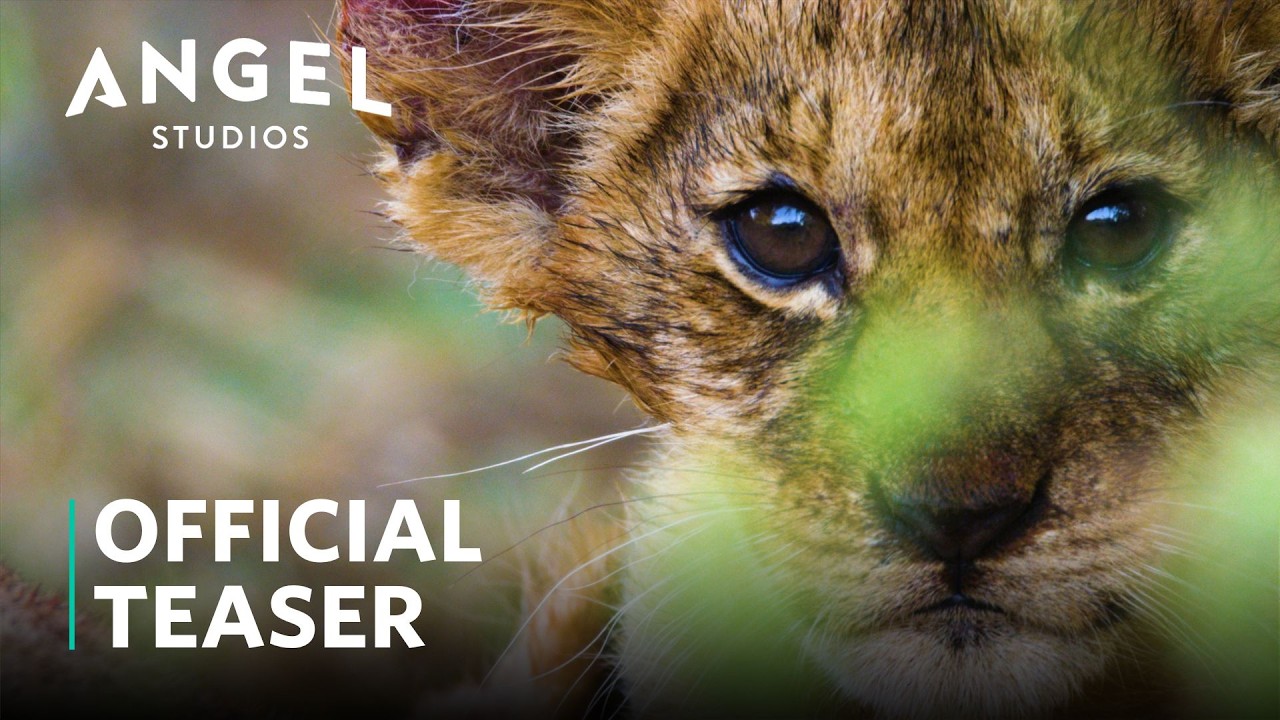 The Riot And The Dance: Season 1 | Official Teaser | Angel Studios