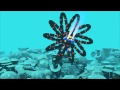 Tachyon Reef Teaser Video Animatic Version
