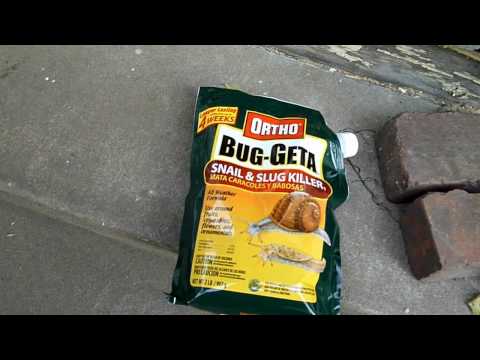 Slugs & Snails, Oh My! 07-02-10