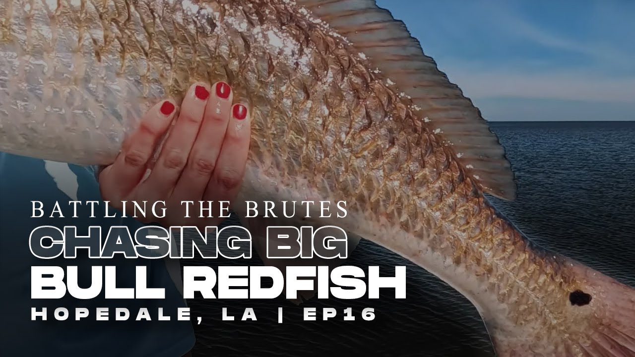 How to Consistently Catch Big Redfish