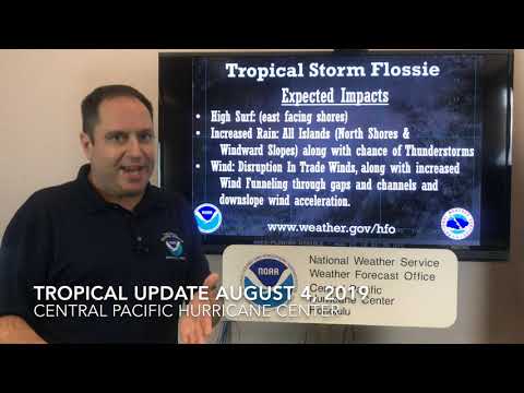 Tropical Cyclone Update August 4 2019  5pm