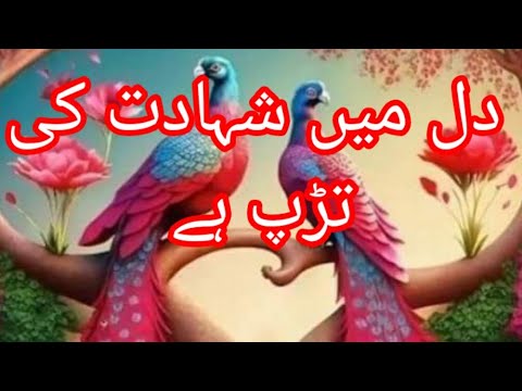 Motivational Nasheed 2023 Dil Mein Shahadat Ki Tarap - Abdullah Mehboob - faris Club = Tarana#viral