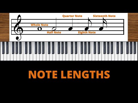 The Different Note Lengths