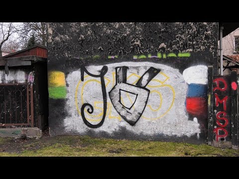 Kibole dewastują drzewa 29.01.2020