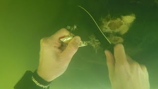 Freediving in Dangerous Murky River Water for Treasure! - Cast Net, Fishing Tackle and MORE!