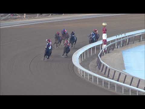 Haikal - 2019 - The Gotham Stakes en Espanol