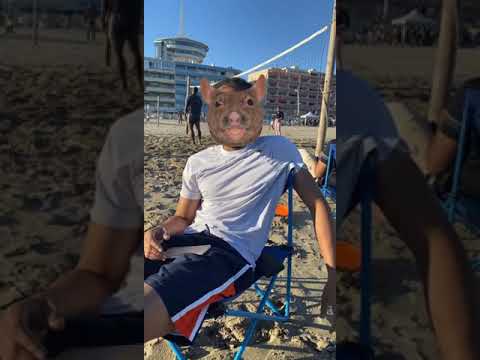 The Rat at the Beach #Shorts