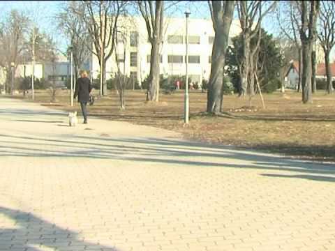 pohorci - Medkulturni dialog