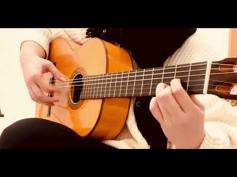 A whole new world  【buleria】フラメンコギターアレンジ