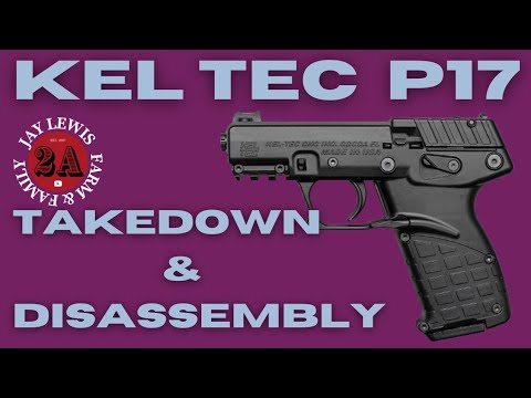 KEL TEC P17 Takedown & disassembly