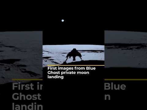 Private spacecraft lands on the moon